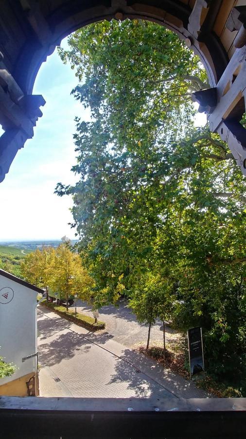 Privathotel Der Schwarze Herrgott No Tv Zellertal Exterior photo